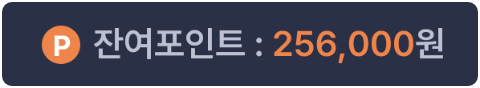 잔여 포인트